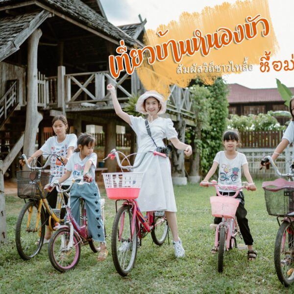 เที่ยวบ้านหนองบัว ชมวิถีไทลือหื้อม่วนใจ๋